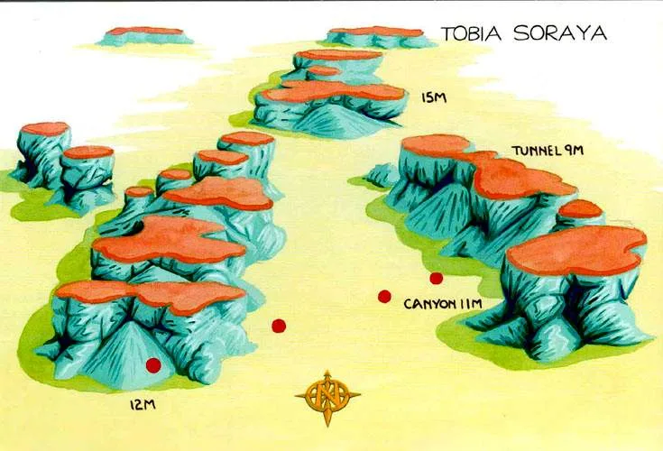 Tobia Soraya