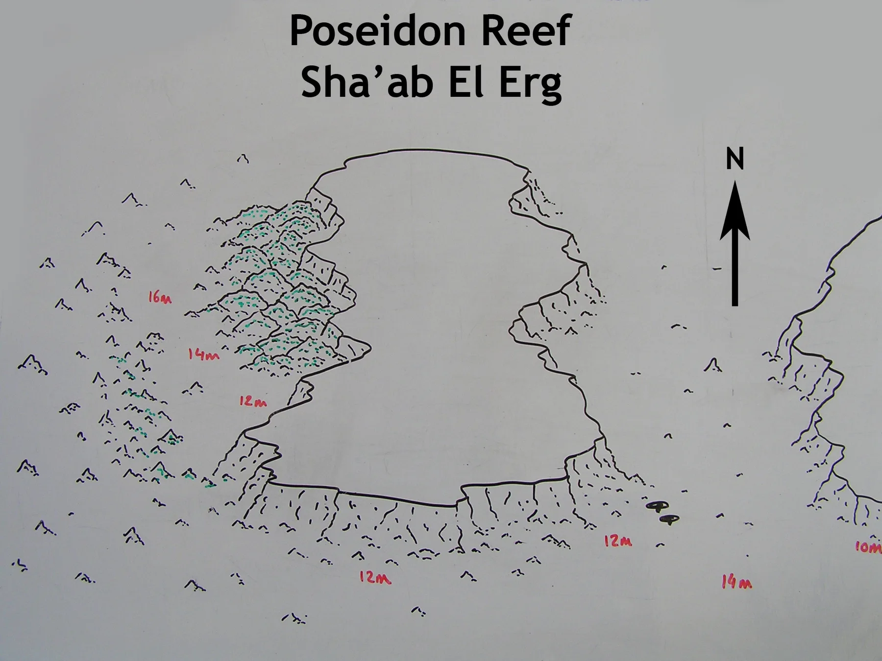 Poseidon Garden