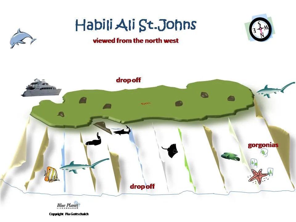 Habili Ali