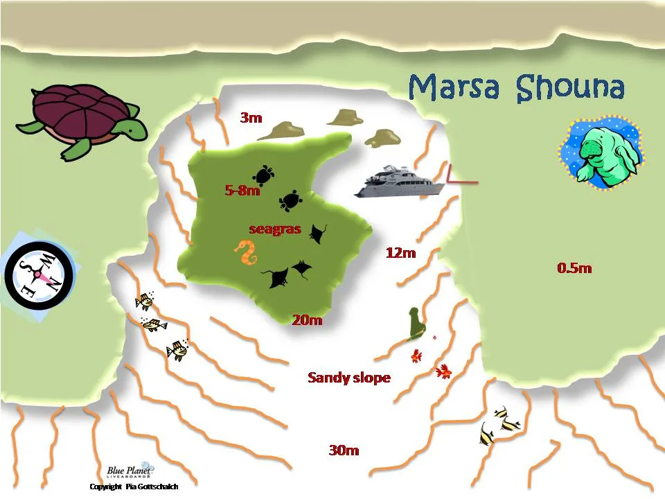 Marsa Shouna
