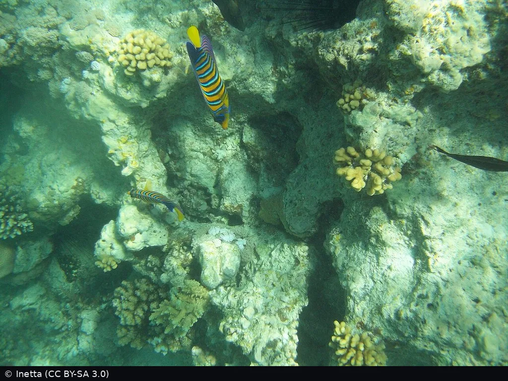 Hurghada