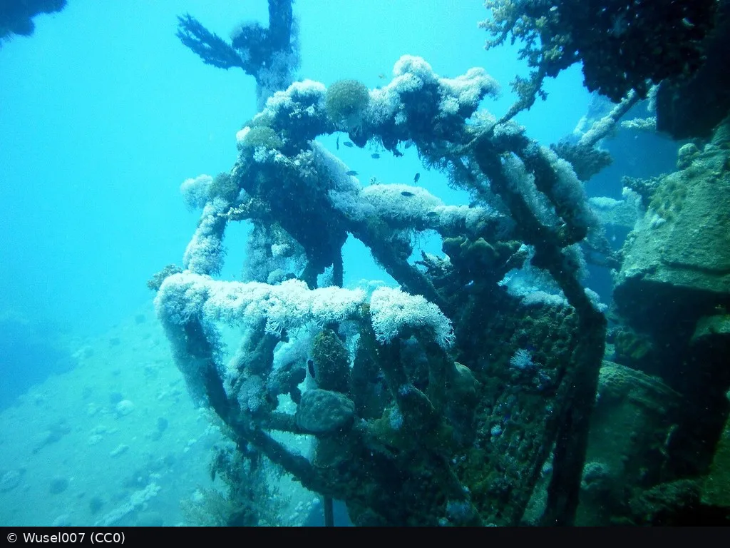 Hamada Wreck (Abu Ghusun)